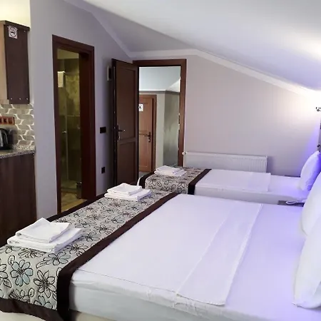 Hotel Dolphin & 4*