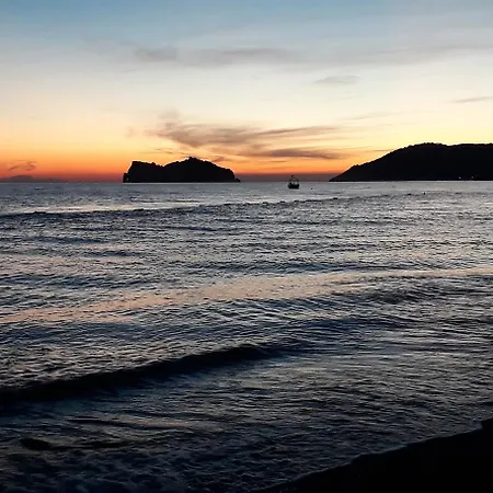 Dolphin & Hotel Ortaca (Mugla)
