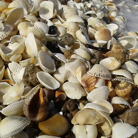 Hotel Dolphin & Ortaca (Mugla)